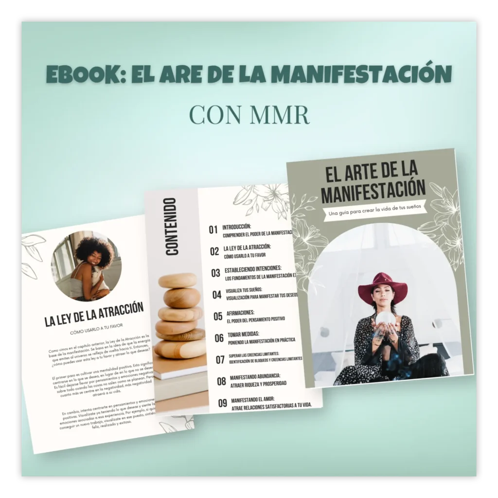 el arte de la manifestacion png