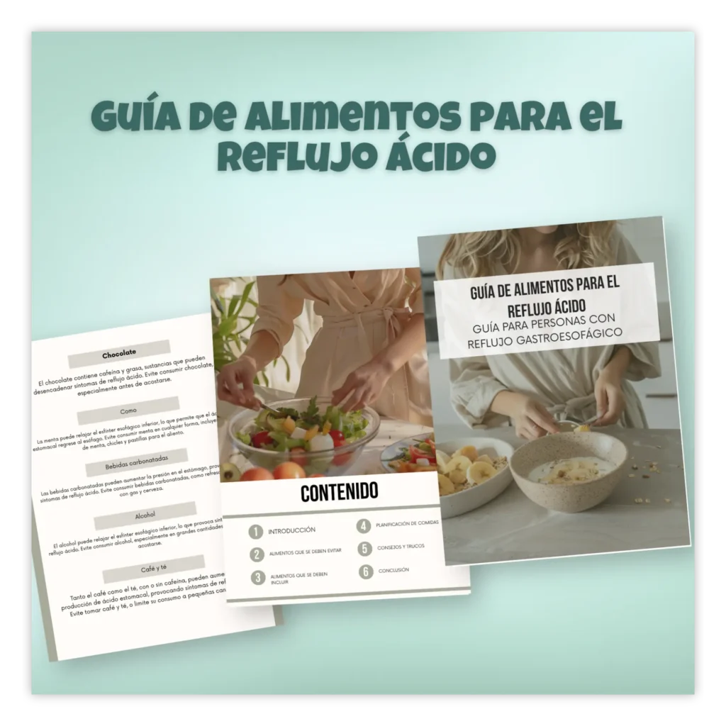 guia alimentos reflujo