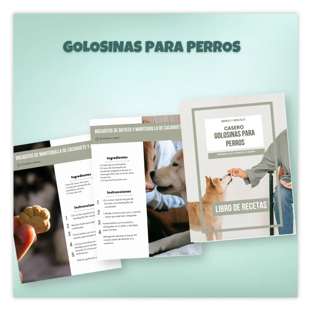 png recetas de golosinas de perro